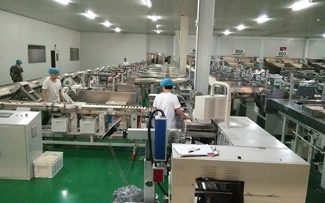 Ordinary plastic package production line